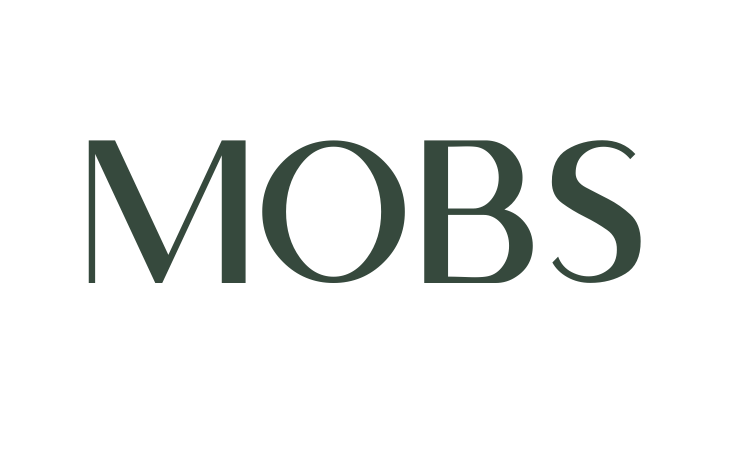 MOBS Modern Web Design